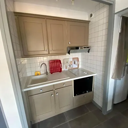 Appartement Sur La Pour 4 Personnes Avec Parking - Fr-1-837-5 *
